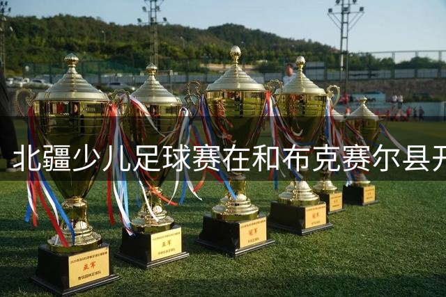 北疆少儿足球赛在和布克赛尔县开赛