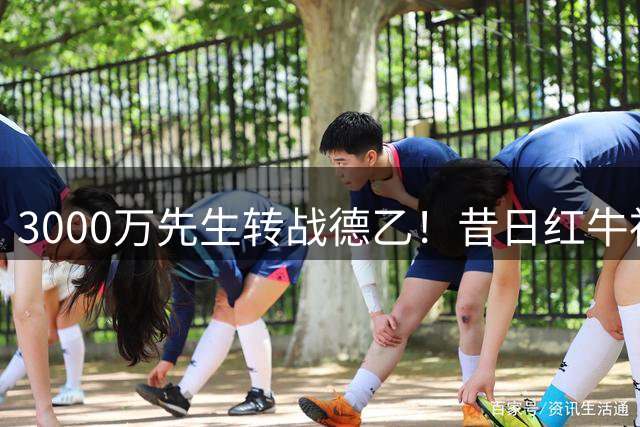 3000万先生转战德乙！昔日红牛神锋能否在汉堡找回巅峰？